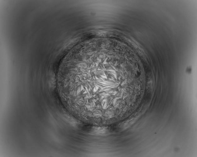 X0000100200469200805301314