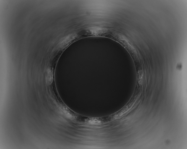 X0000100200471200805301314