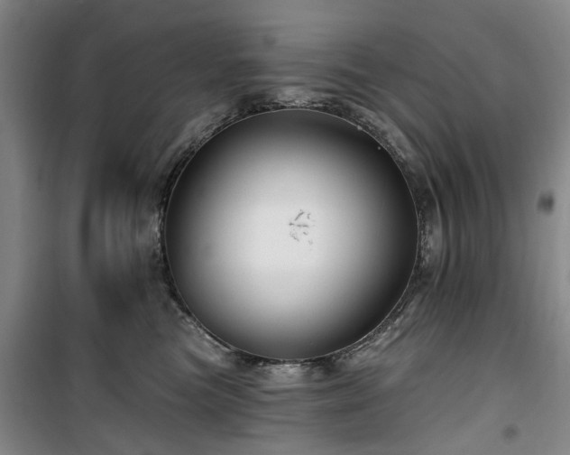 X0000100200473200805301314