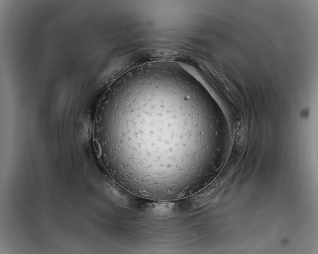 X0000100200474200805301314