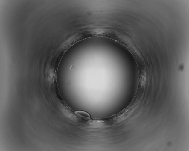 X0000100200476200805301314