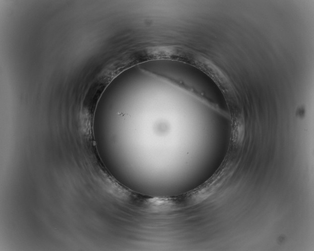 X0000100200477200805301314