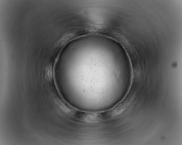 X0000100200479200805301314