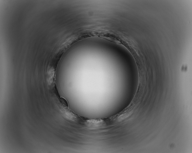 X0000100200480200805301314