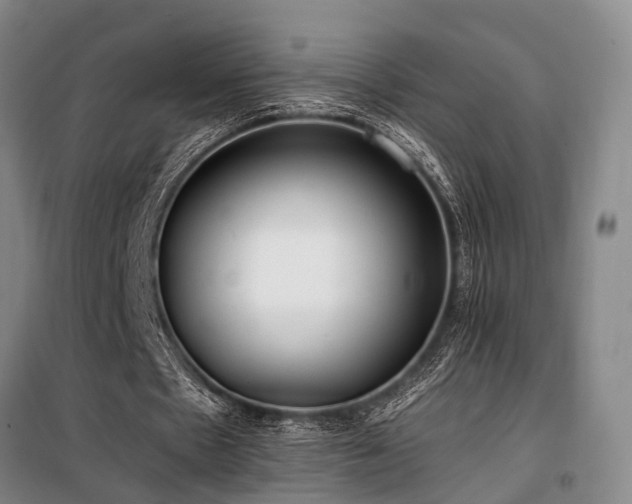 X0000100200481200805301313