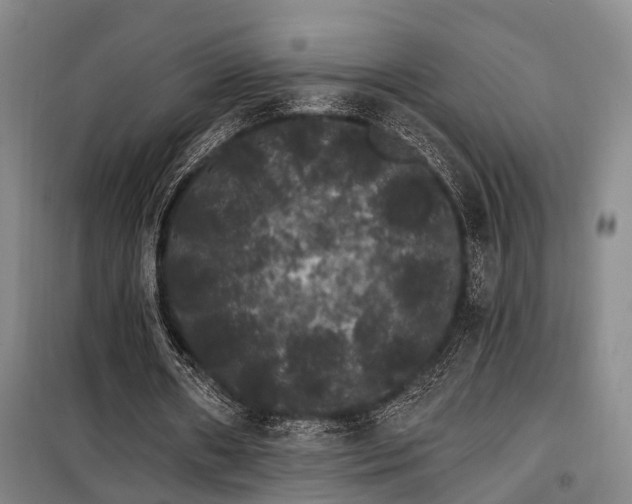 X0000100200482200805301313