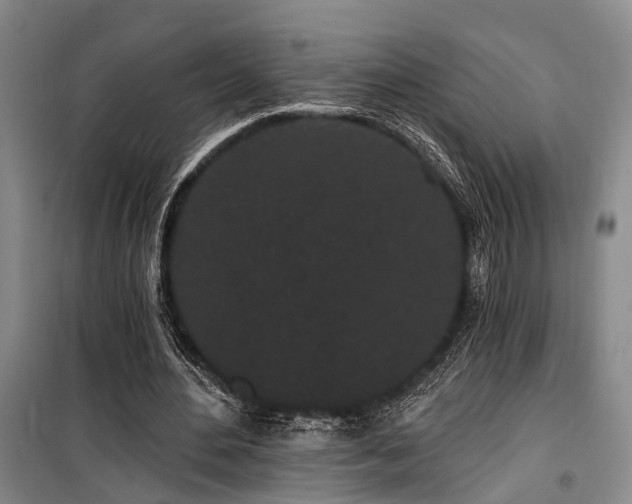 X0000100200484200805301313