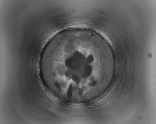 X0000100200487200805301313