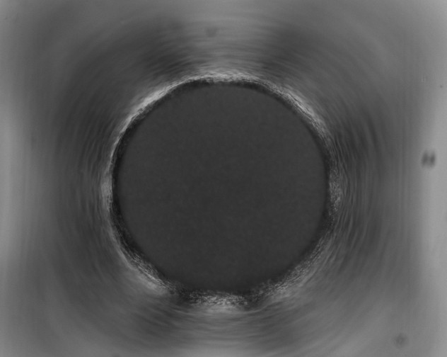 X0000100200488200805301313