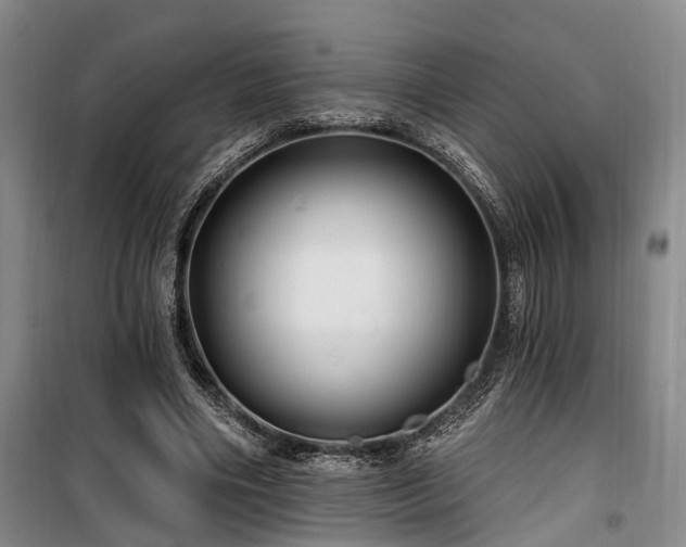 X0000100200490200805301313