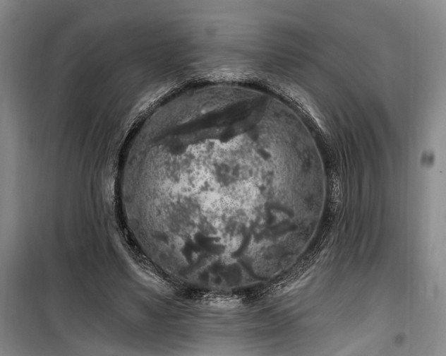 X0000100200491200805301313