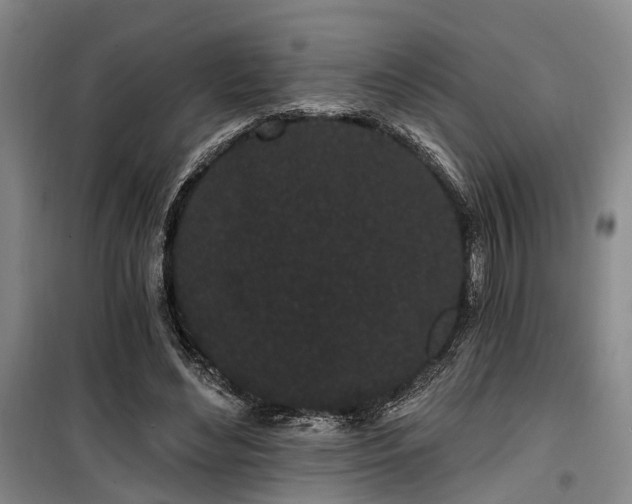 X0000100200492200805301313