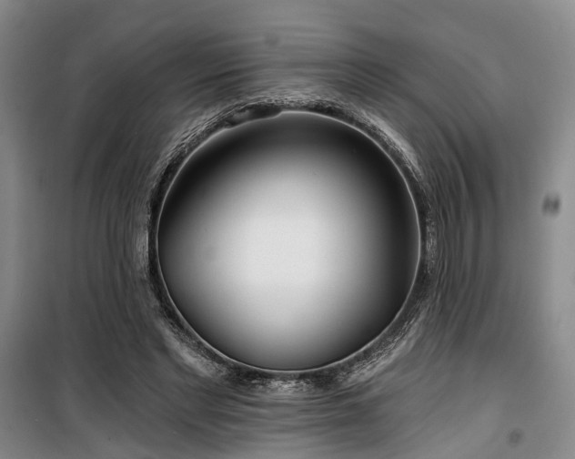 X0000100200493200805301313