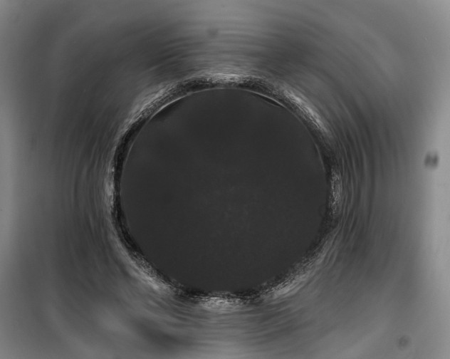 X0000100200494200805301313