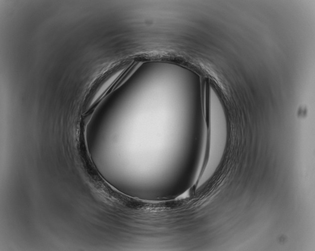 X0000100200495200805301313