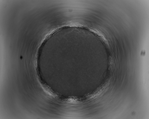 X0000100200496200805301313