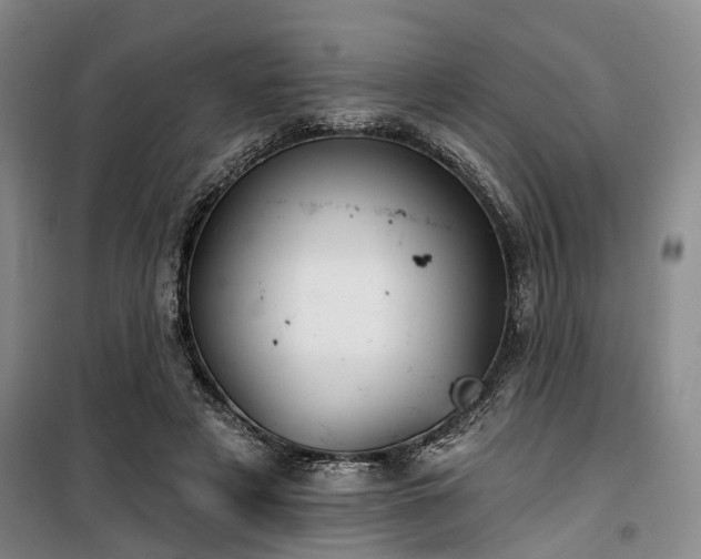 X0000100200497200805301313