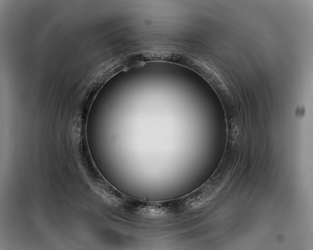 X0000100200498200805301313