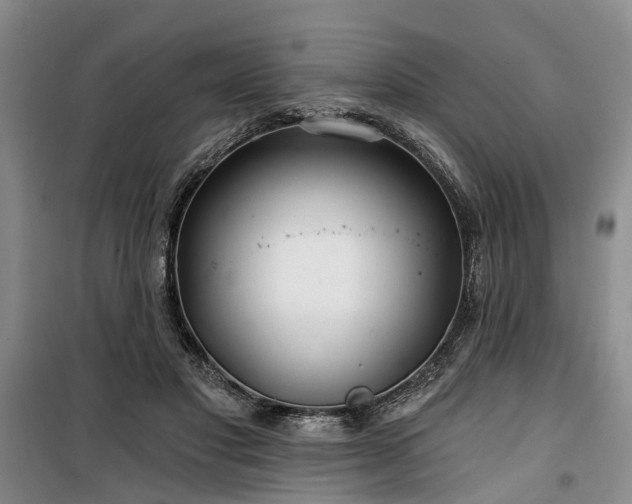 X0000100200501200805301313