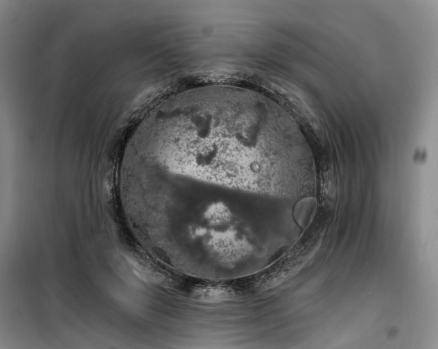 X0000100200503200805301313