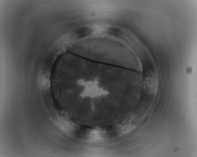 X0000100200504200805301313