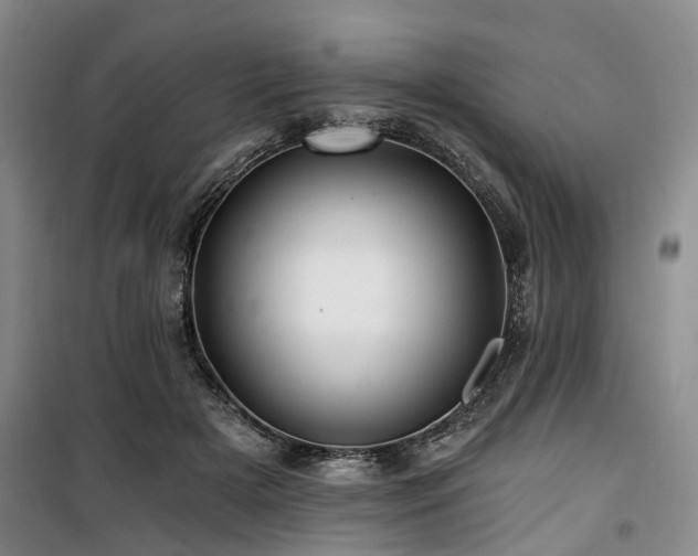 X0000100200505200805301313