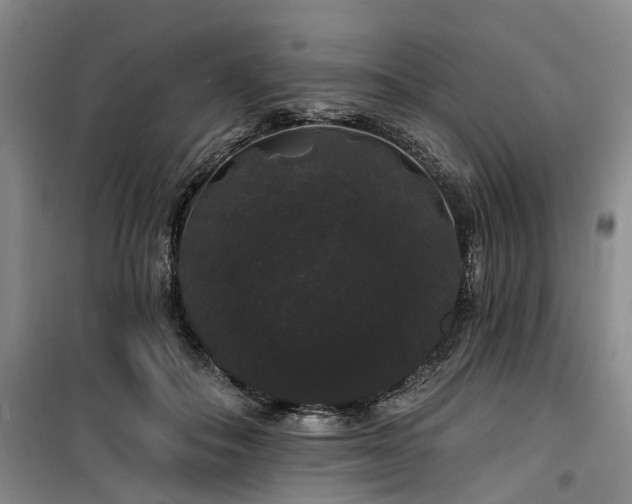 X0000100200506200805301313