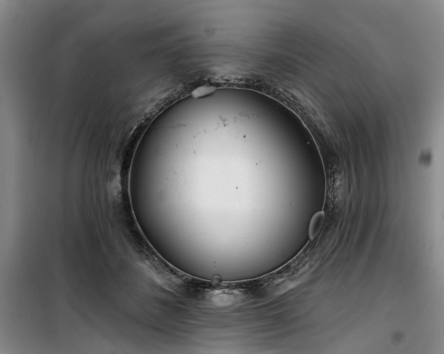 X0000100200508200805301313