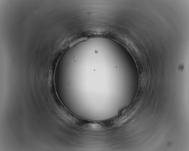 X0000100200509200805301313