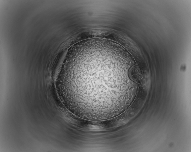 X0000100200510200805301313