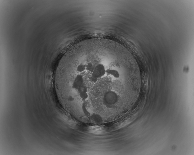 X0000100200511200805301313