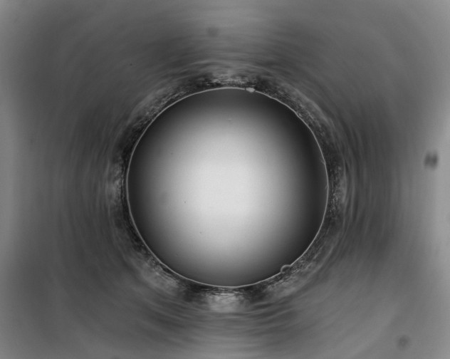 X0000100200513200805301313