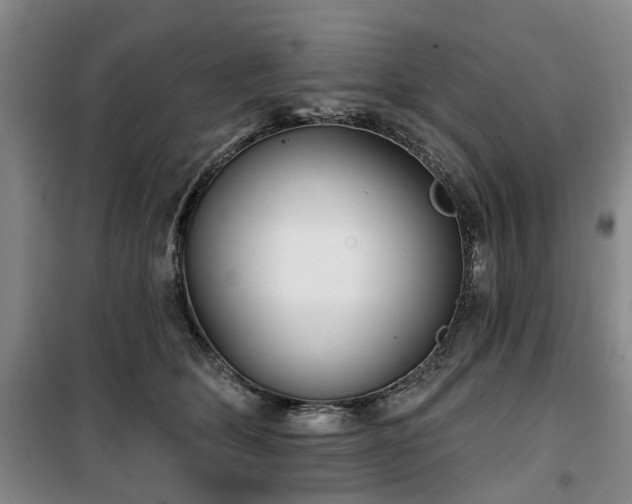 X0000100200514200805301313