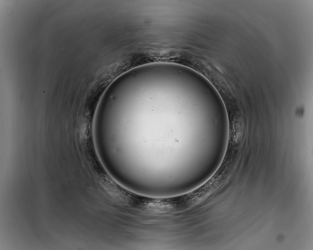 X0000100200515200805301313