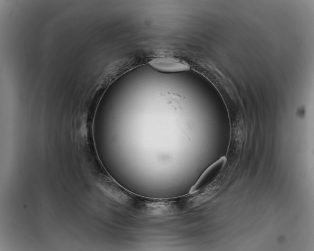 X0000100200516200805301313