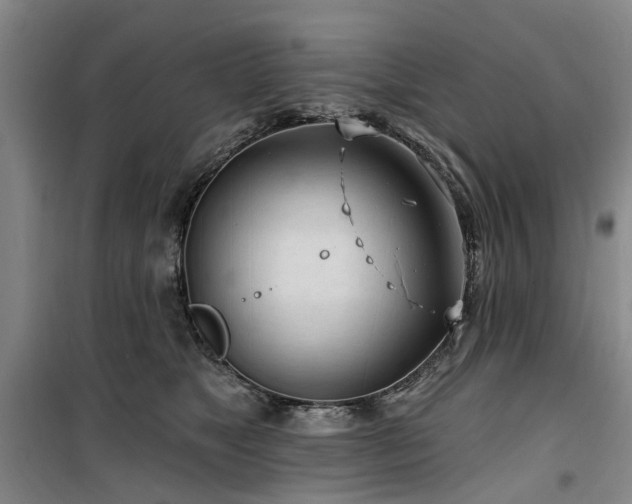 X0000100200517200805301313