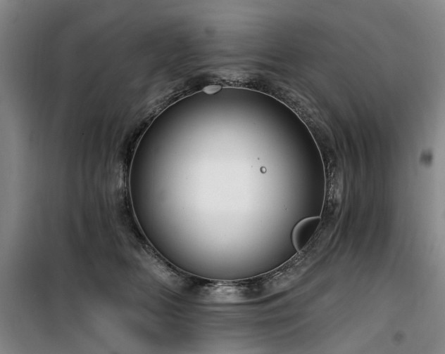 X0000100200518200805301313