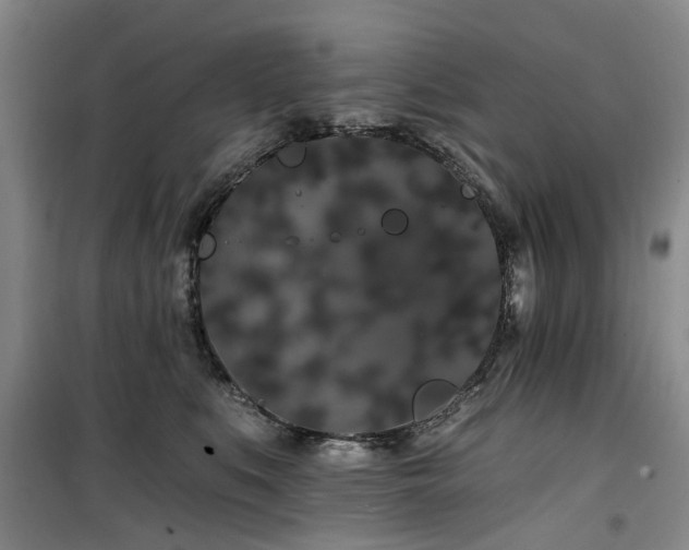 X0000100200519200805301313