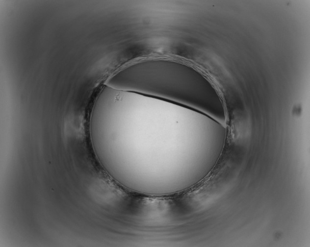 X0000100200520200805301313