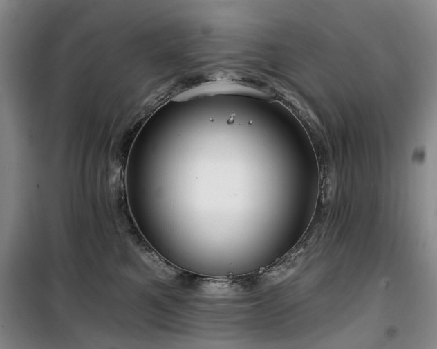 X0000100200521200805301313