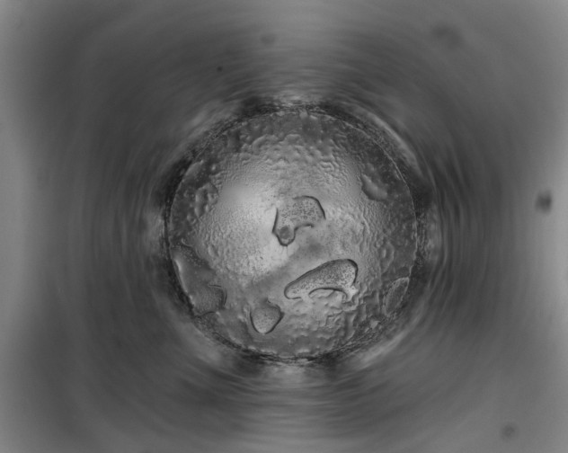 X0000100200523200805301313