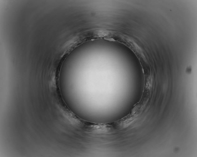 X0000100200524200805301313