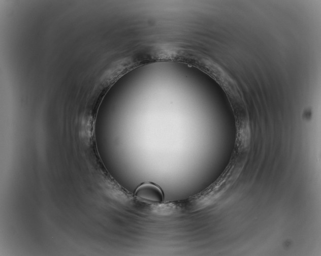 X0000100200525200805301313