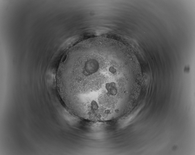 X0000100200527200805301313