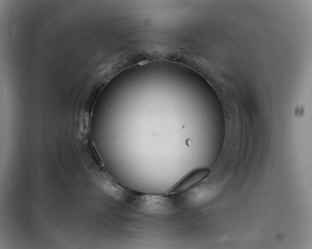 X0000100200528200805301313