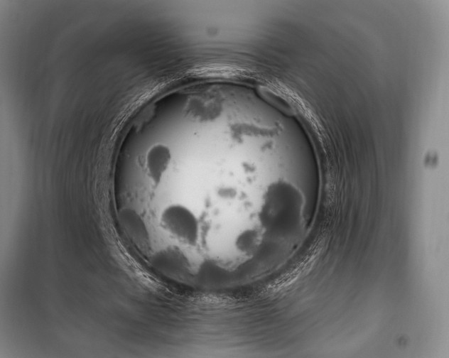 X0000100200529200805301312