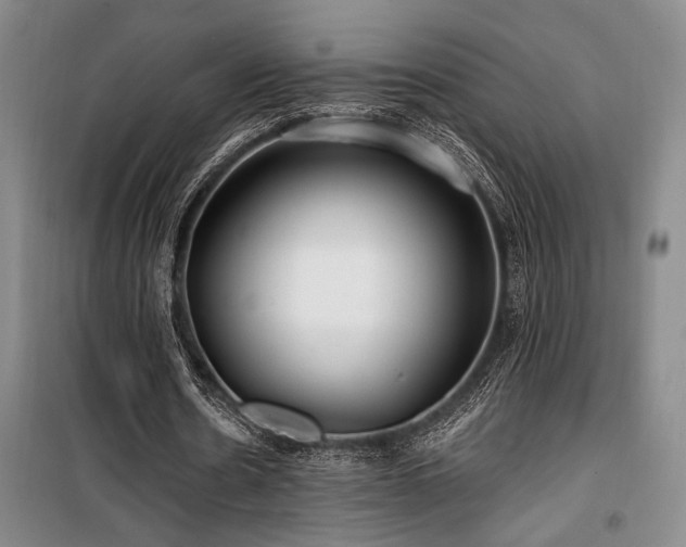 X0000100200530200805301312