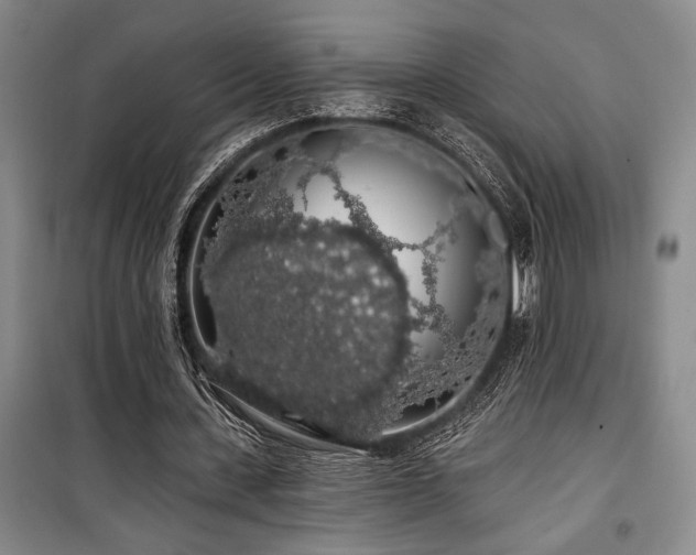 X0000100200531200805301312