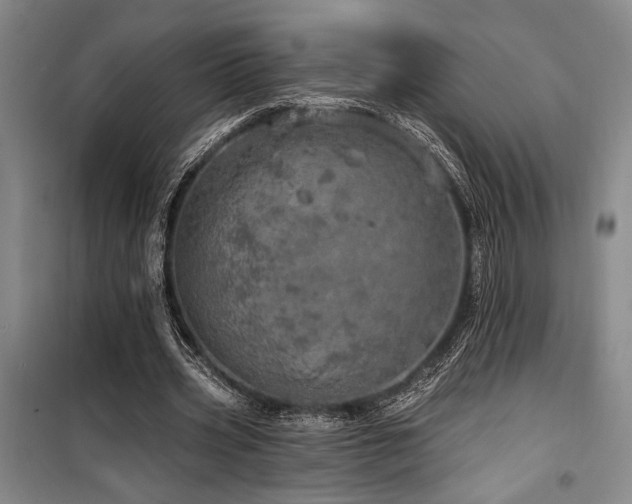 X0000100200533200805301312