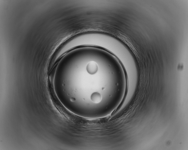 X0000100200534200805301312